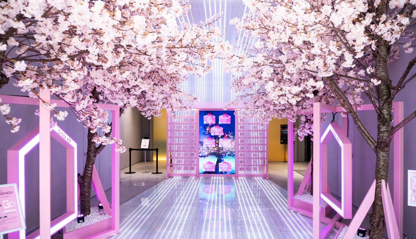 オルゴール お花見　桜 幻想的な世界に没入できるお花見体験！GINZA 456の「願いツナグサクラ